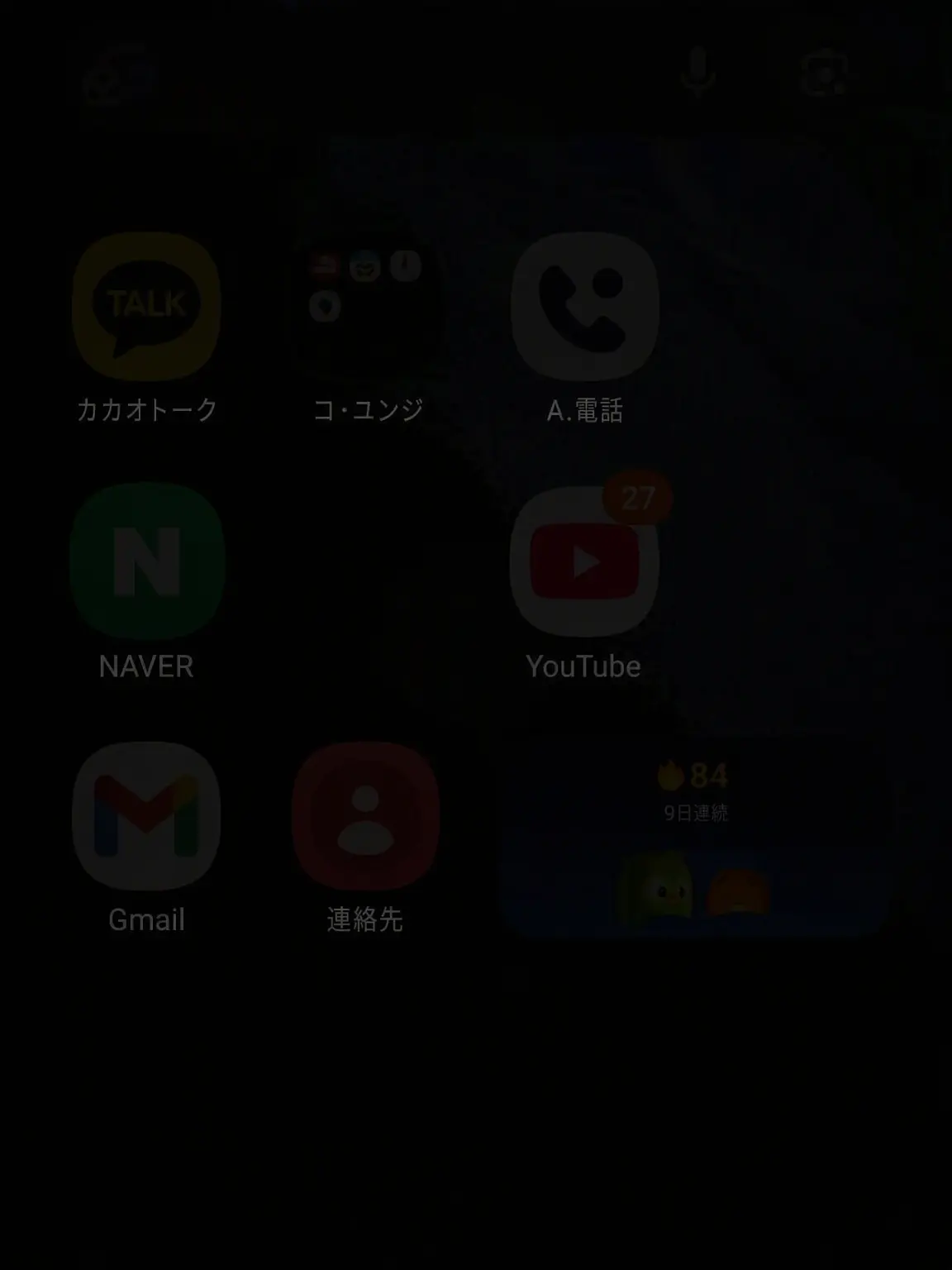 Choriren의 組織 (2)