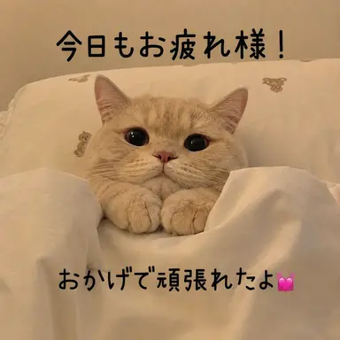 Profile image of キツネ