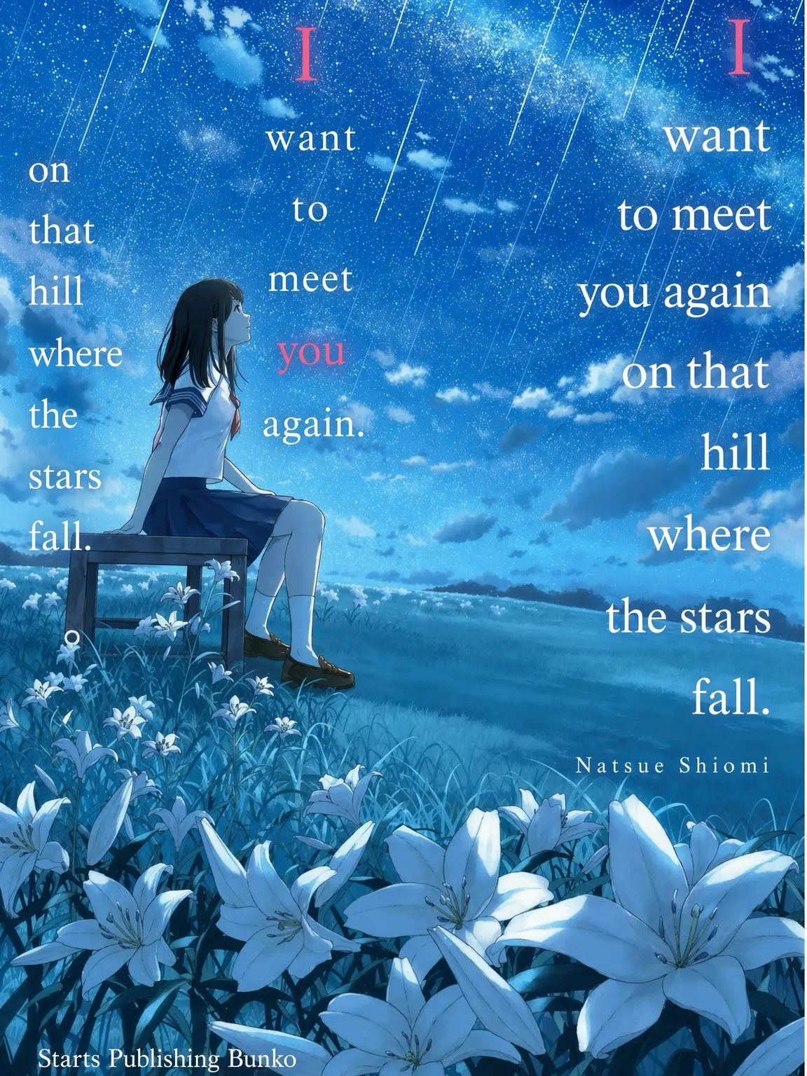 LightFrame7660의 On That Hill Where Stars Fall, I Want to Meet You Again.