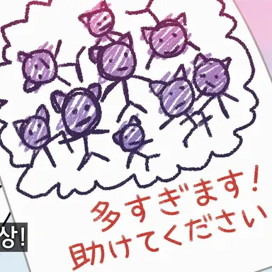 Profile image of プップッヒタルタル