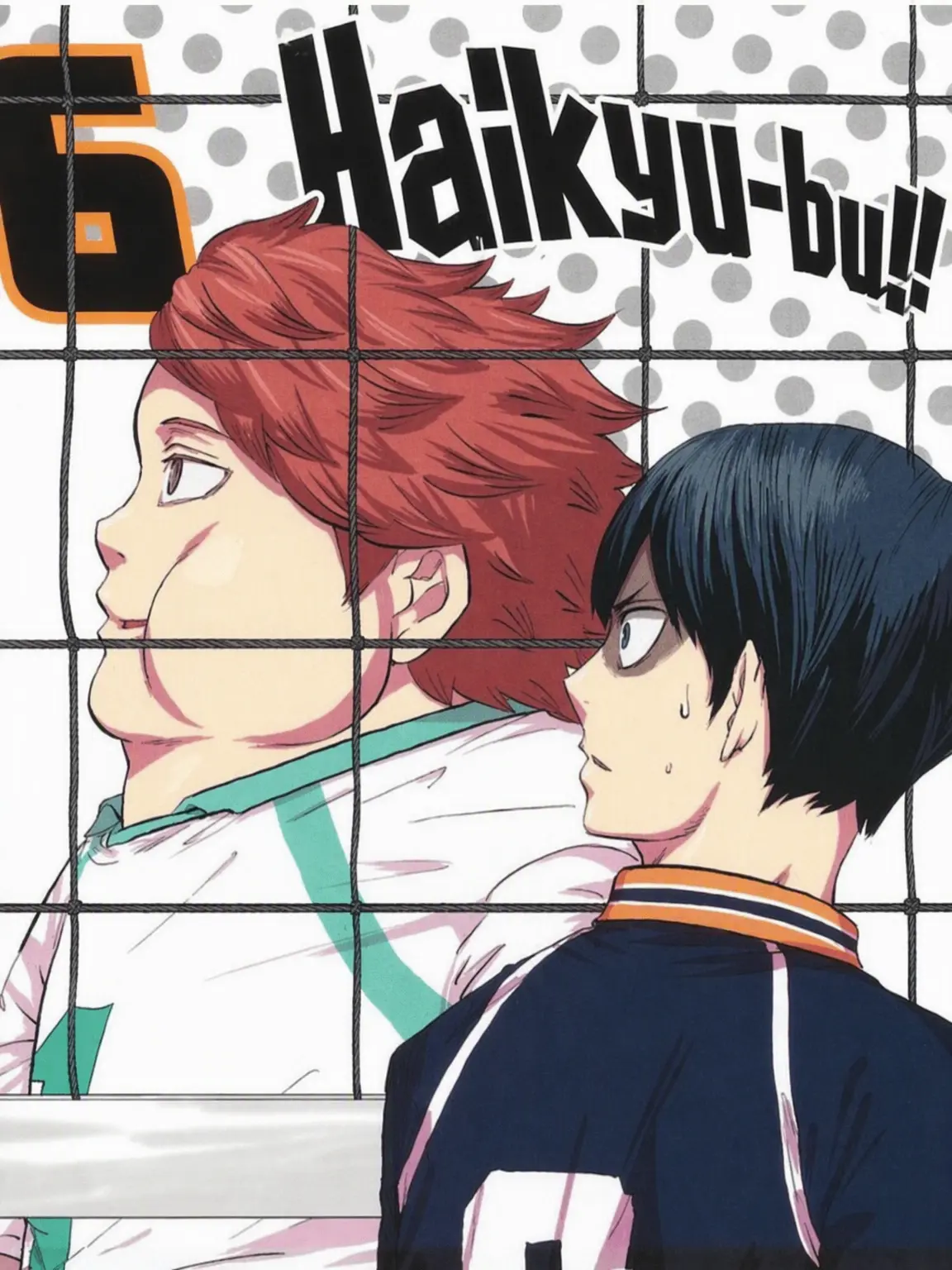 AcridBelt2542의 Haikyu!! Summer Training Camp