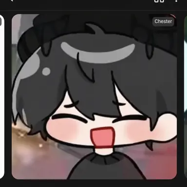 Profile image of Chester