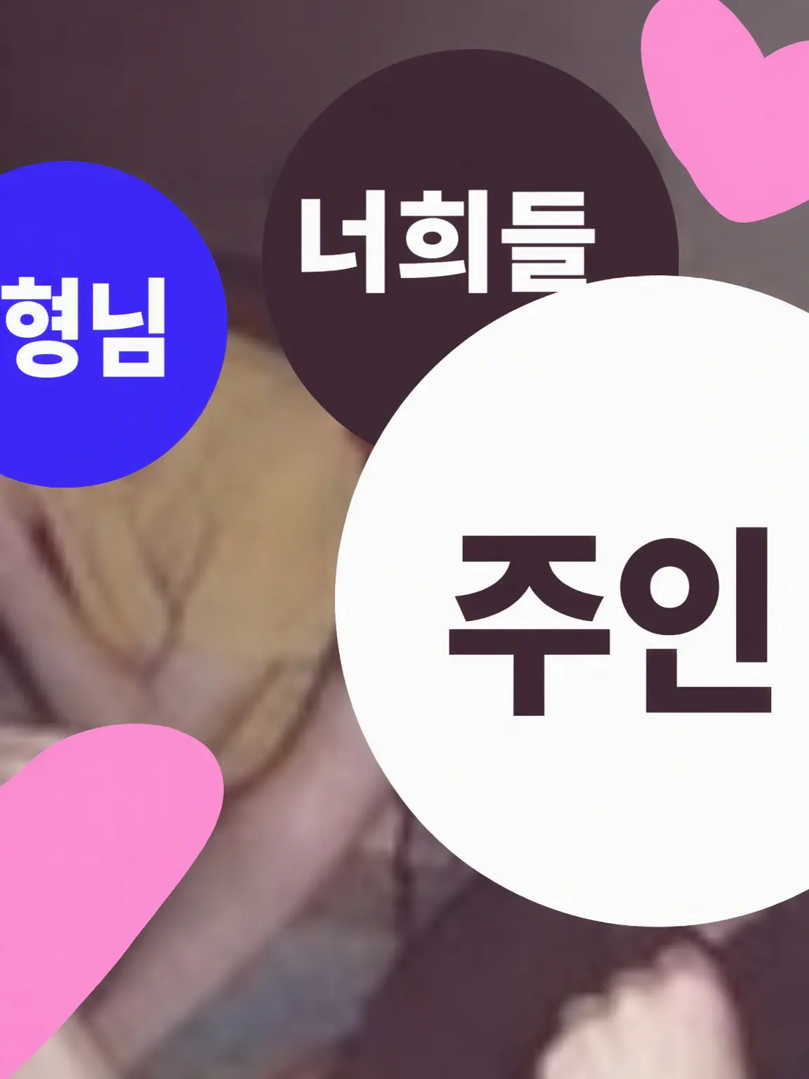ippanpiipooooooooooooooooooooo의 내숭쟁이