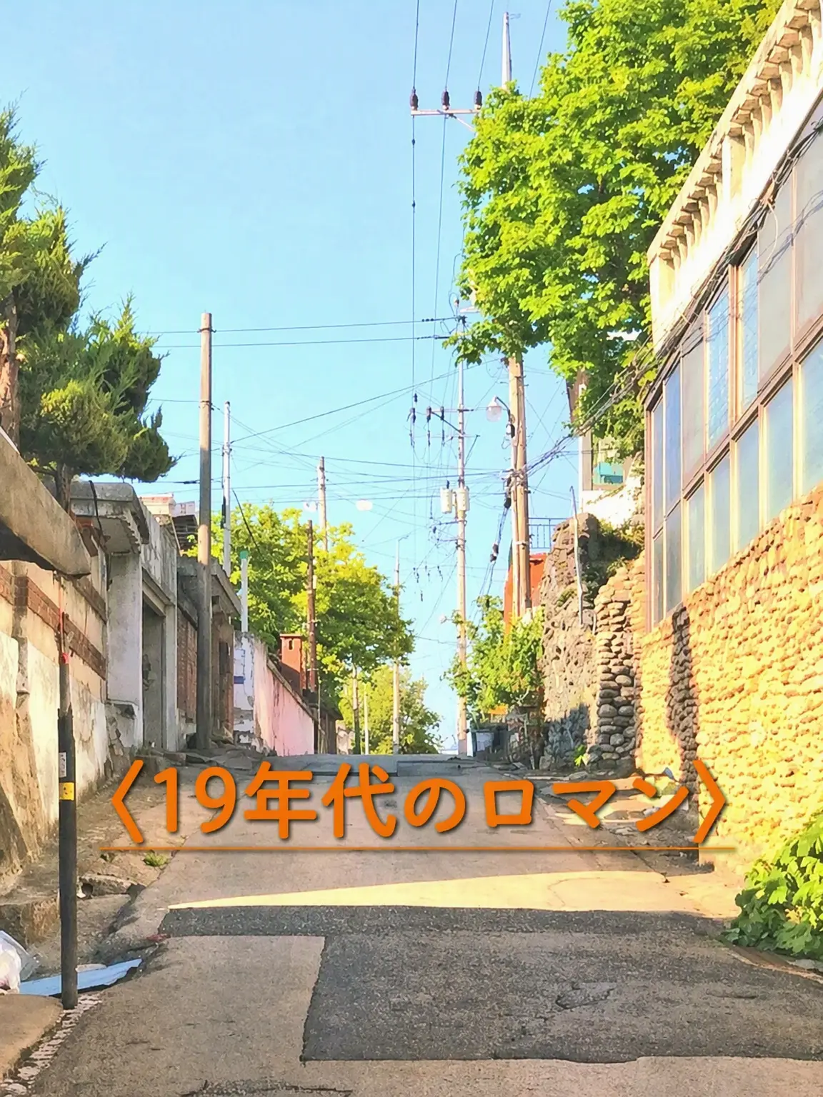 SneakyFruit6411의 {🌙月明かりの下で🌃}