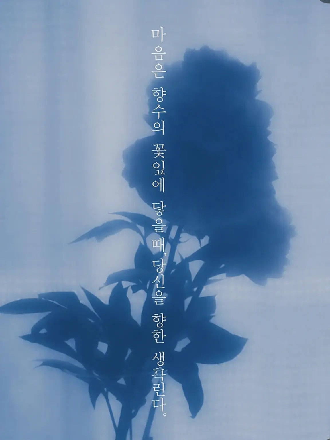 PlushySaw2688의 힘들 때는 이리 오세요
