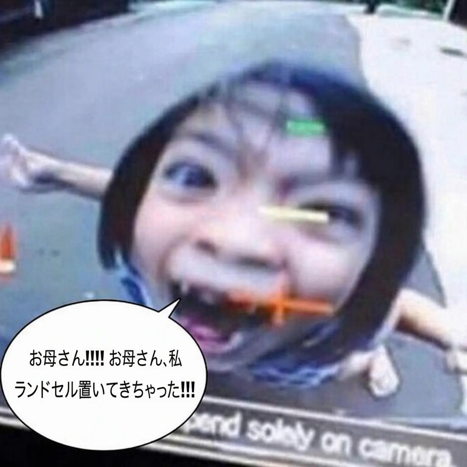 QuickLip6851의 群れの序列戦争