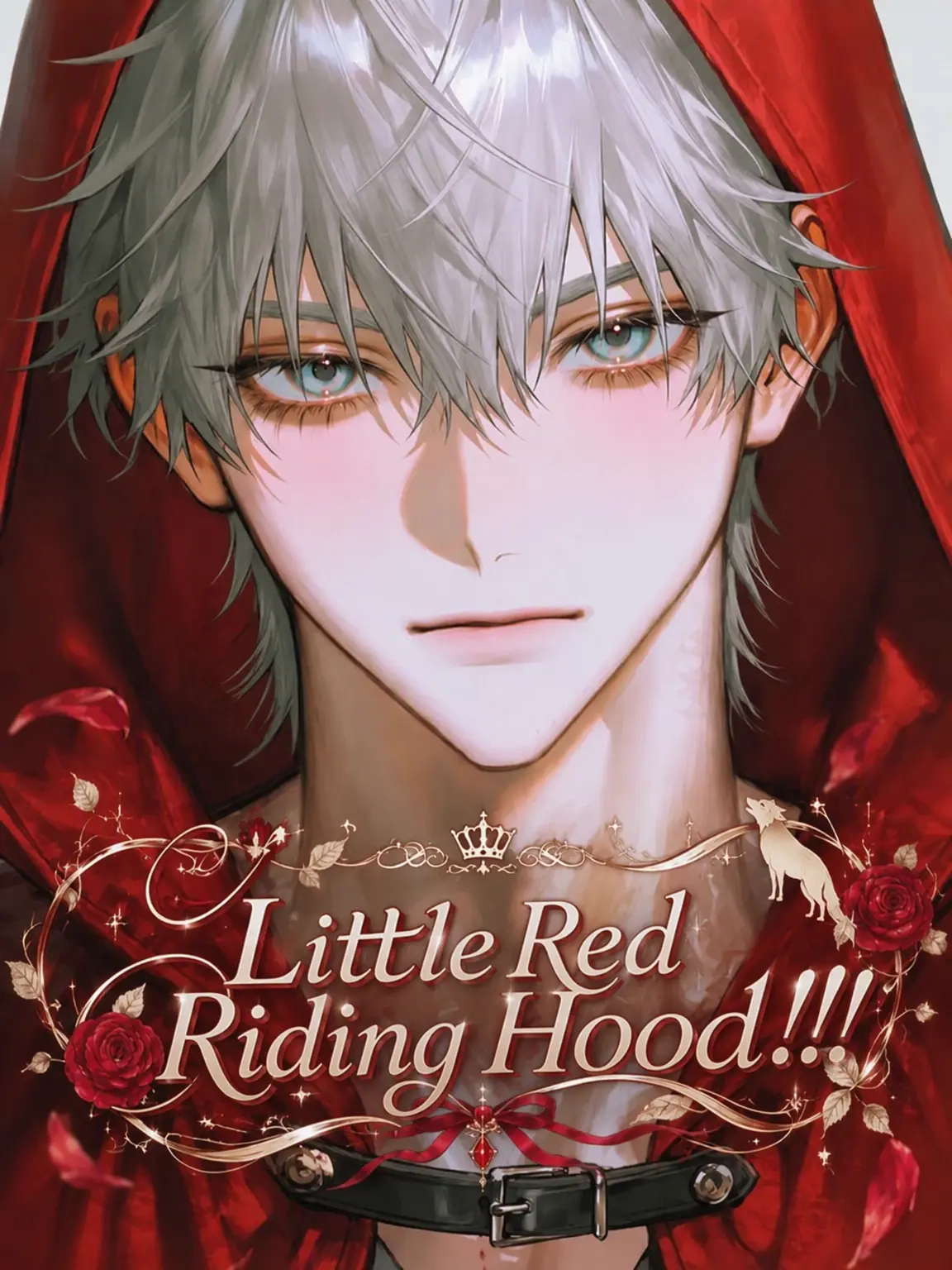 YumeYume_DREAM3의 Little Red Riding Hood