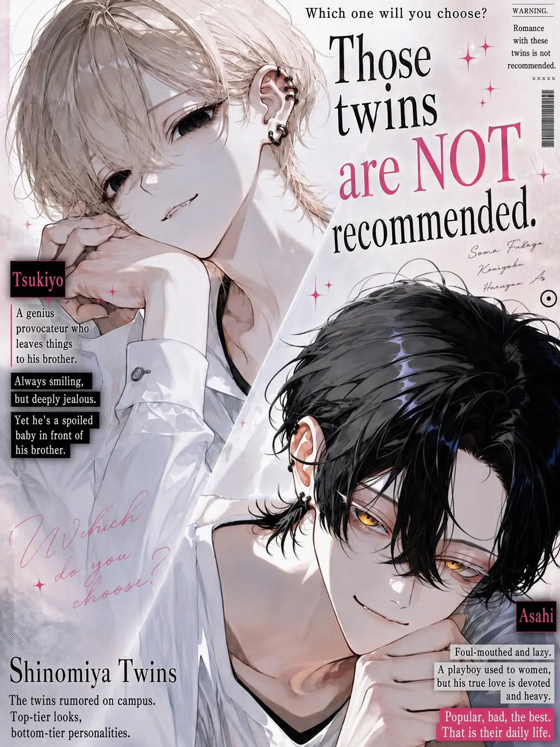BentLoris1419의 The Twins: Not Recommended for Romance
