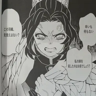 Profile image of 胡蝶しのぶ