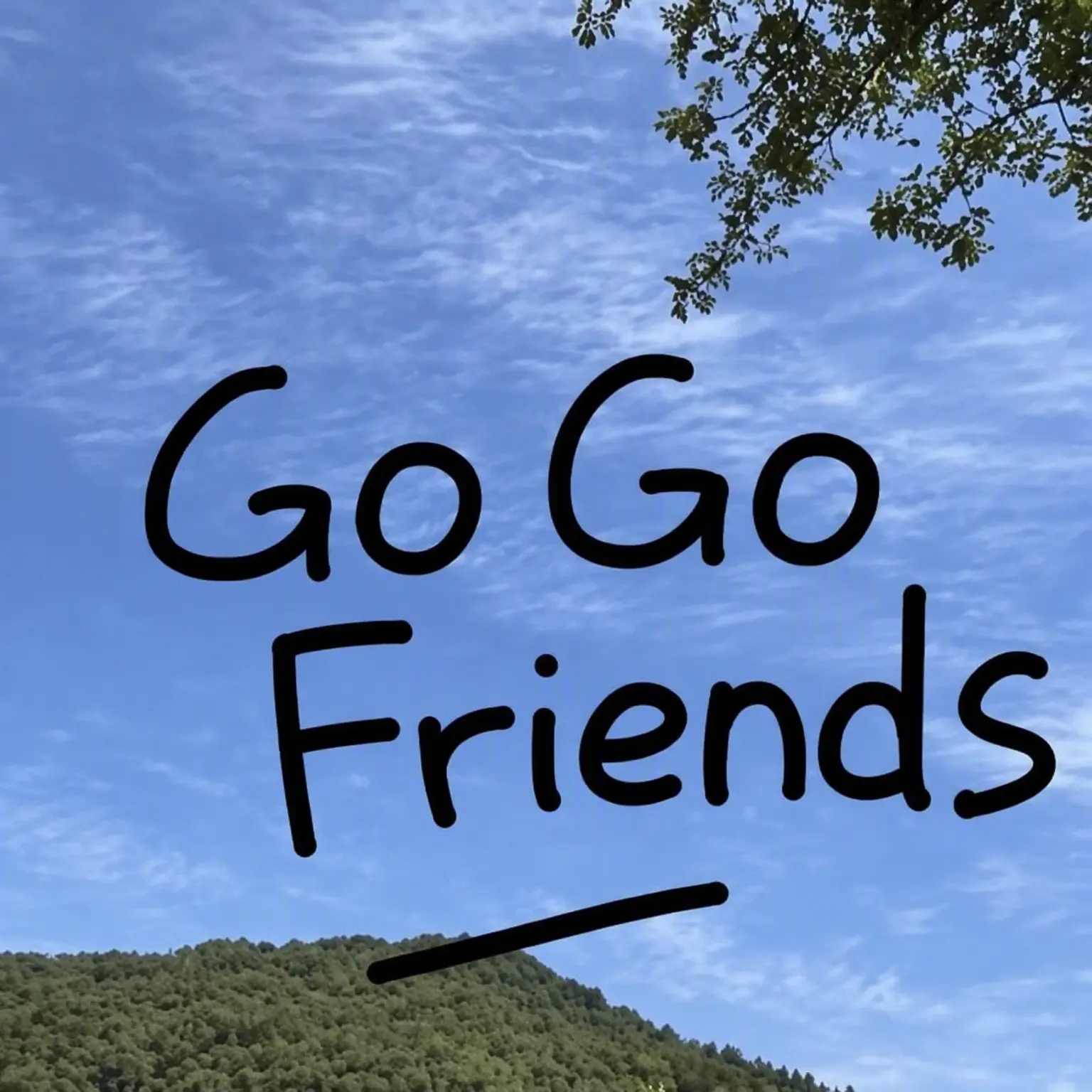 Lill1107의 Gogo Friends in 1392