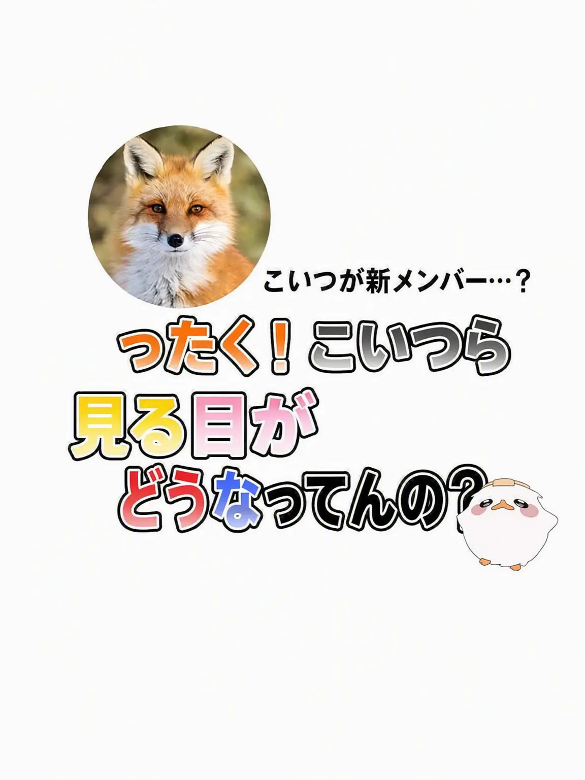 Hanna_11의 もう！こいつらの見る目どうなってんの？
