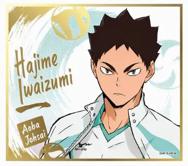 Profile image of Hajime Iwaizumi
