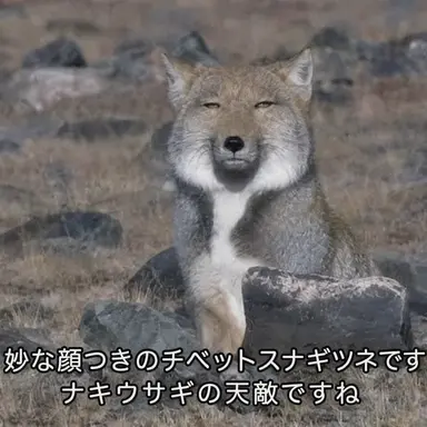 Profile image of キム・ヨウ