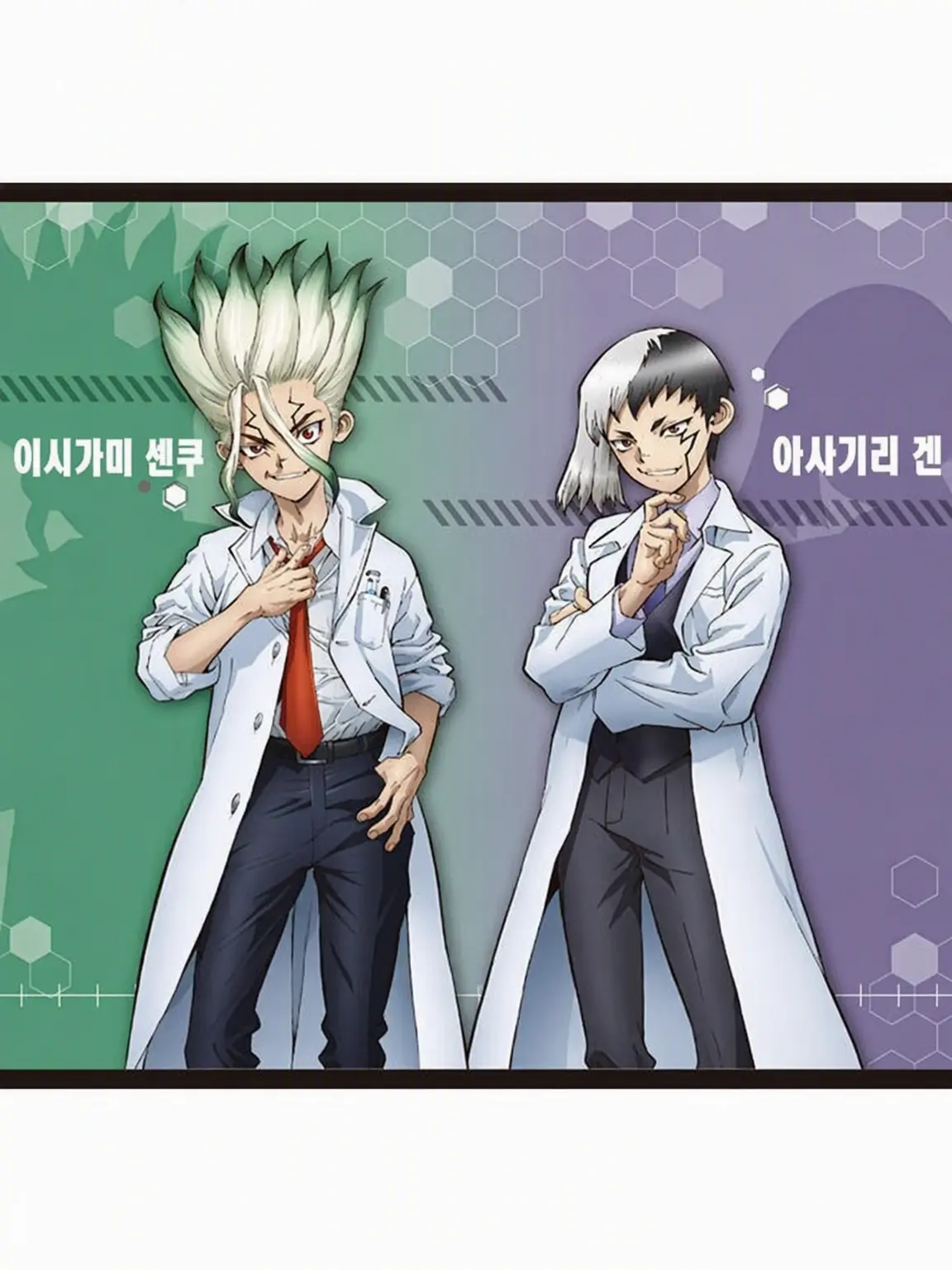 BoringDorgi4205의 센쿠와 겐의 소꿉친구