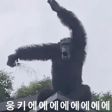 Profile image of 부리코