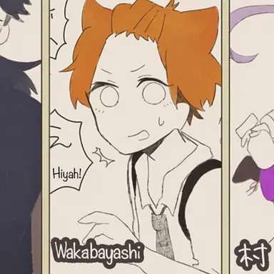 Profile image of Wakabayashi