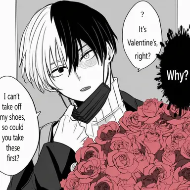 Profile image of Shoto Todoroki
