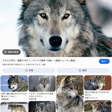Profile image of オオカミ