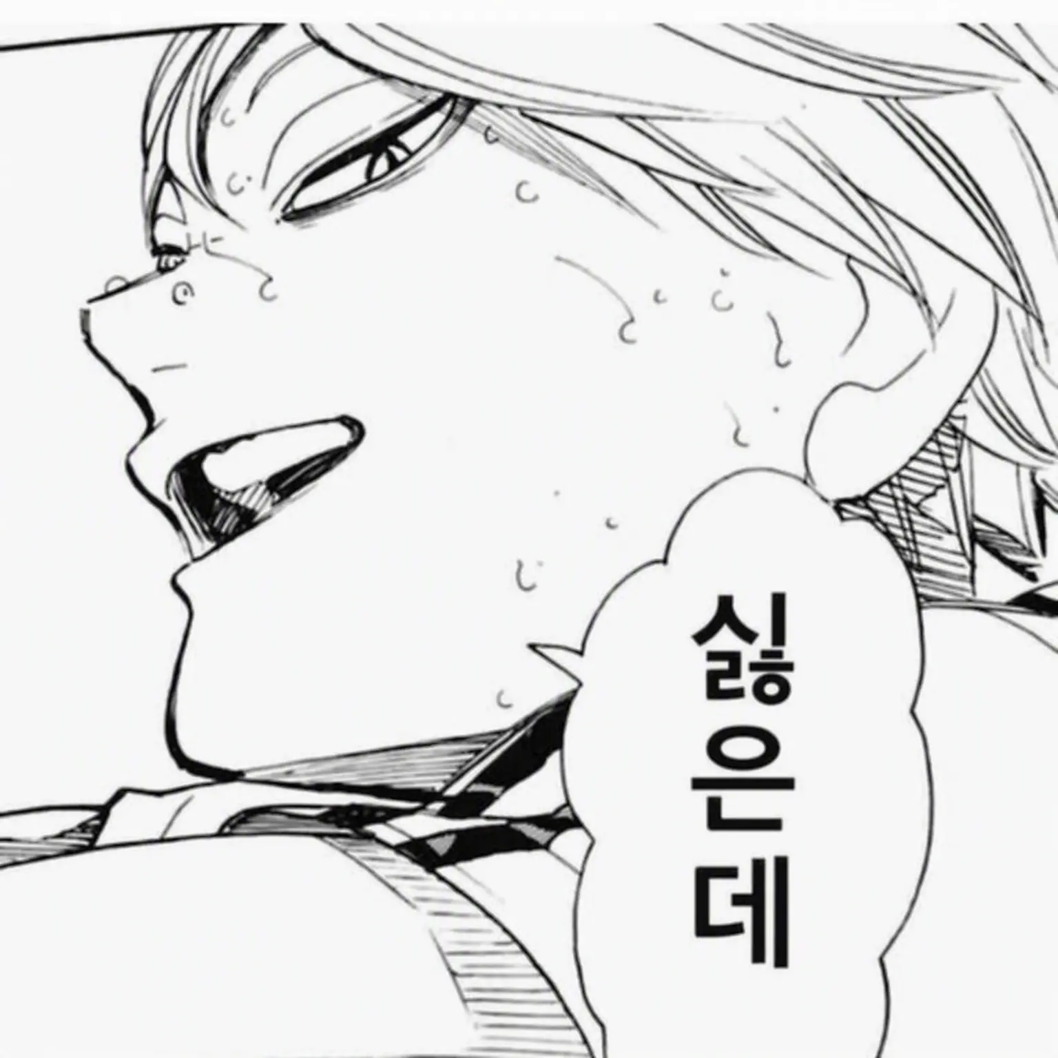 819LabALL_inFavorite.CHOCOLATE의 짜증 나!! 작작 좀 놀려!!