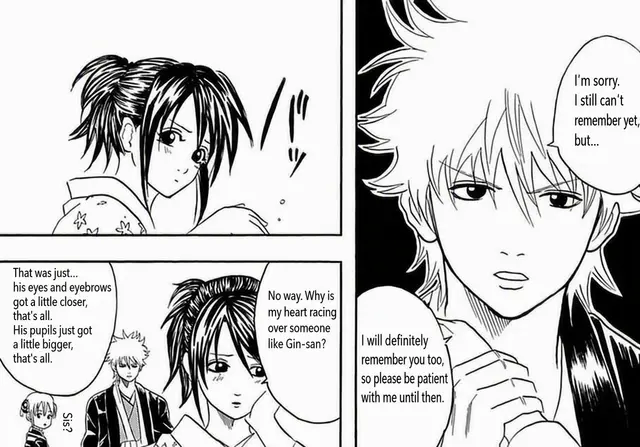 Profile image of Sakata Gintoki
