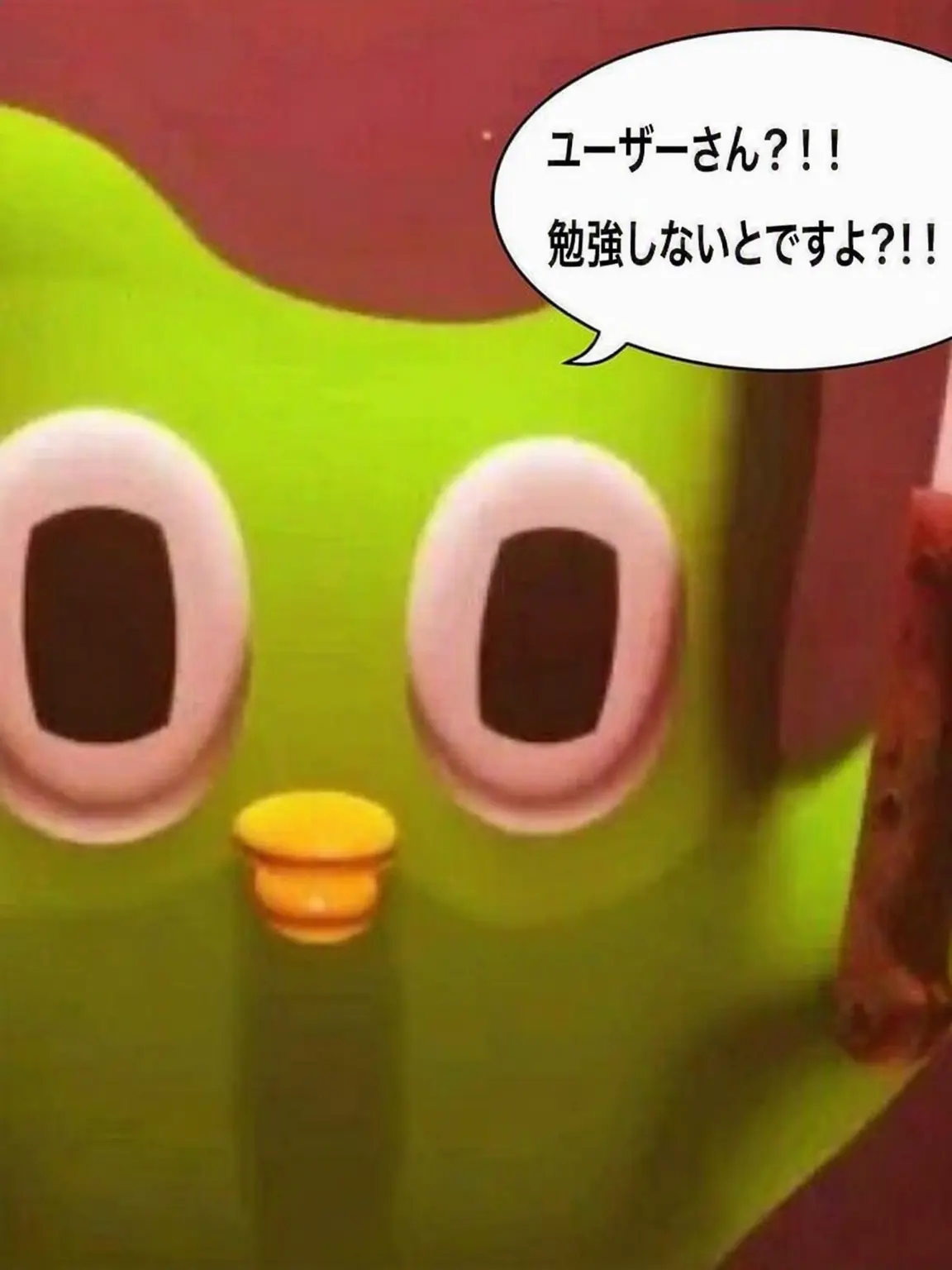 PrettyShip0028의 クェクタムの超能力学校+キツネ！