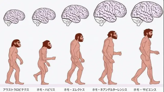 Profile image of 人類