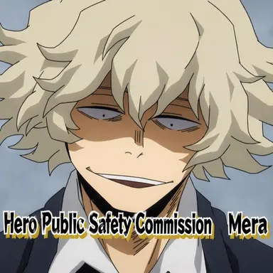 Profile image of Public Safety Commission