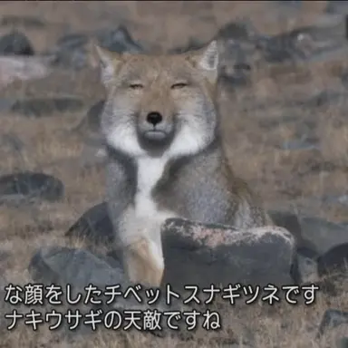 Profile image of ヨ・ウナ
