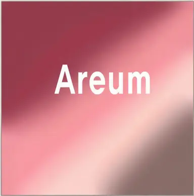 Profile image of Areum