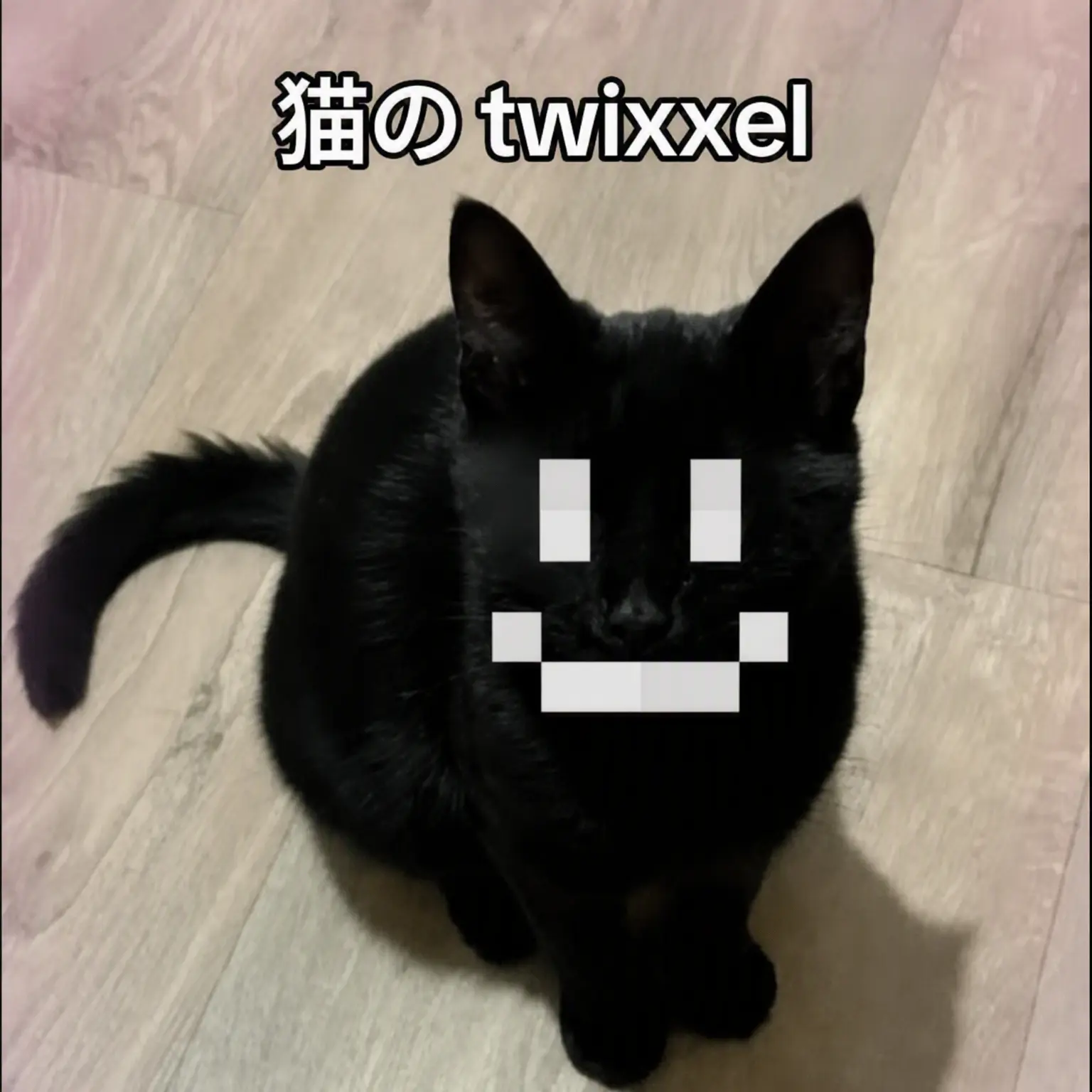 I_like_brown의 Mob&Twixxel 猫ver.
