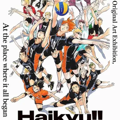 Profile image of Haikyuu