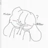 Profile image of Intern