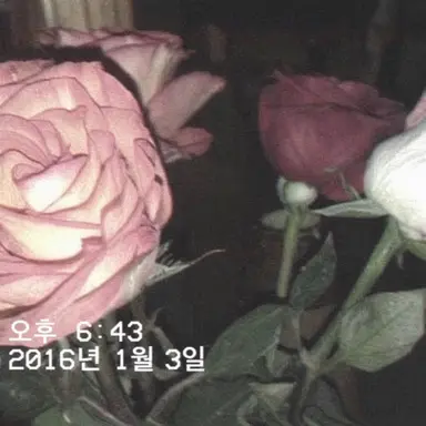Profile image of 루츠