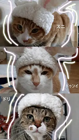 Profile image of リノ