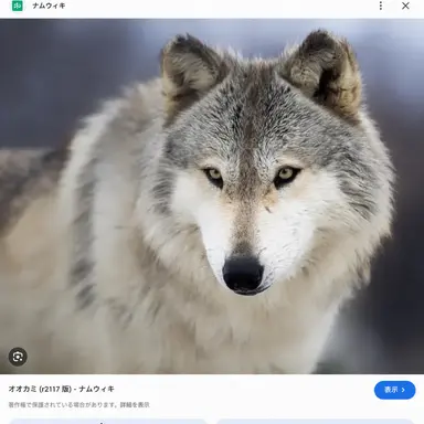Profile image of 狼
