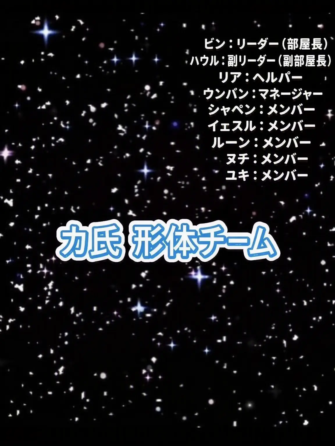 PainedGuppy2514의 カ氏形体チーム会議室