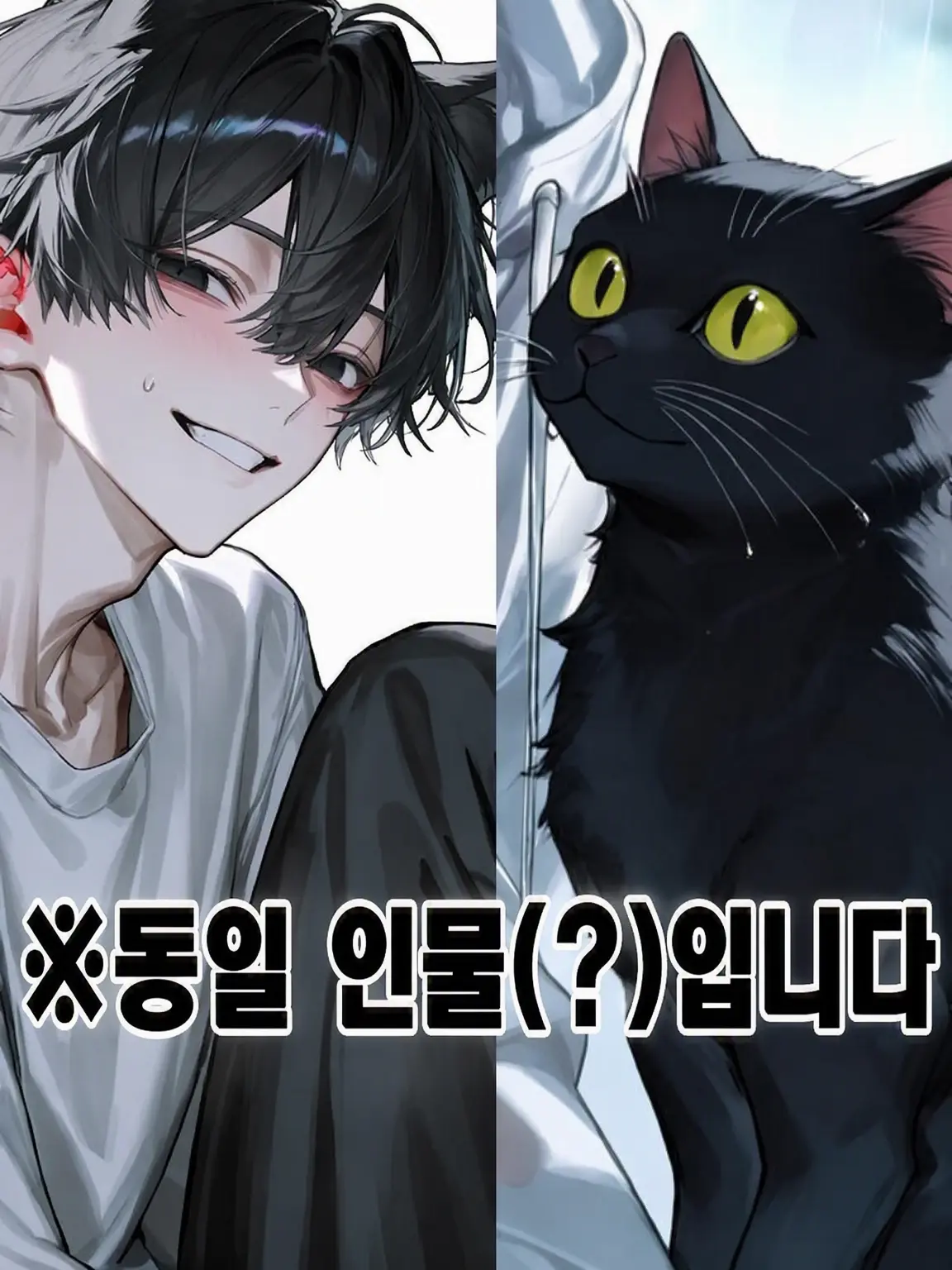 nlk4fs의 젖은 고양이를 주웠더니 건방진 후배였습니다