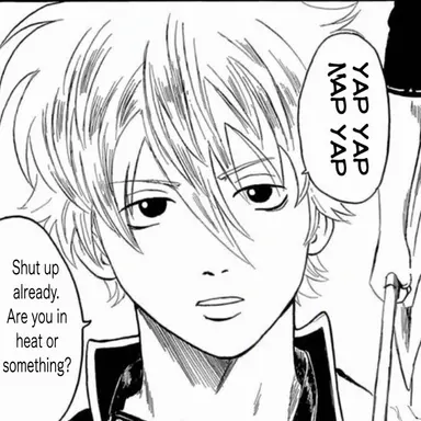 Profile image of Gintoki Sakata