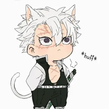 Profile image of Sanemi Shinazugawa
