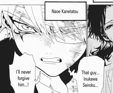 Profile image of Naoe Kanetatsu
