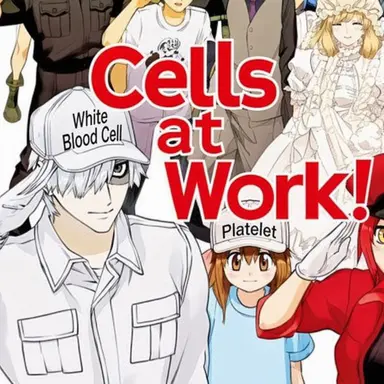 Profile image of White Blood Cell