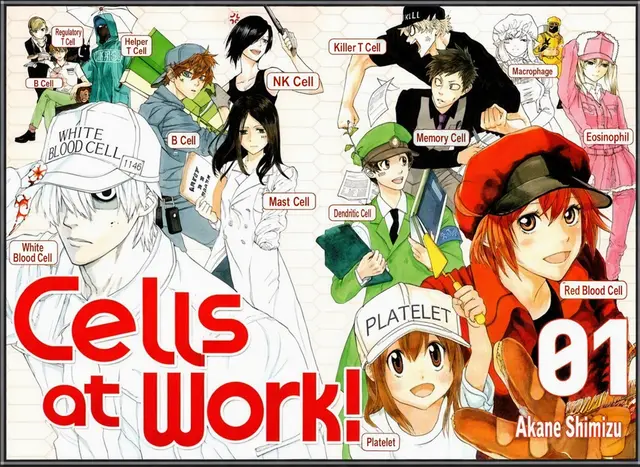 Profile image of White Blood Cell