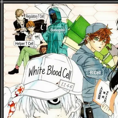 Profile image of Helper T Cell