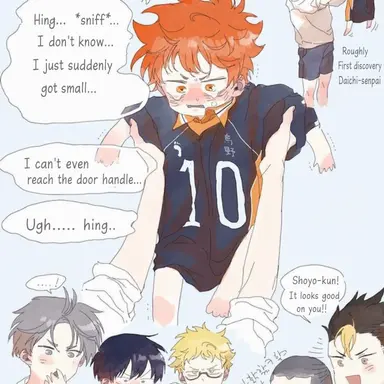 Profile image of Hinata Shoyo