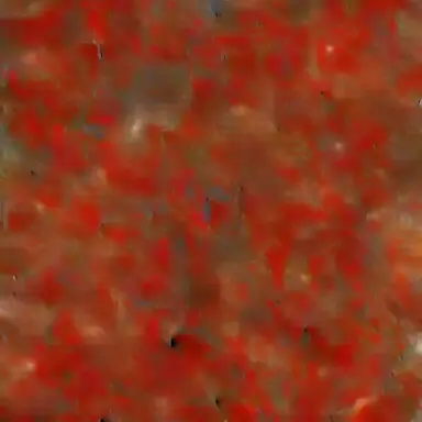 Profile image of Rian