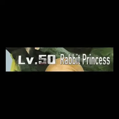 Profile image of Rabbit Princess