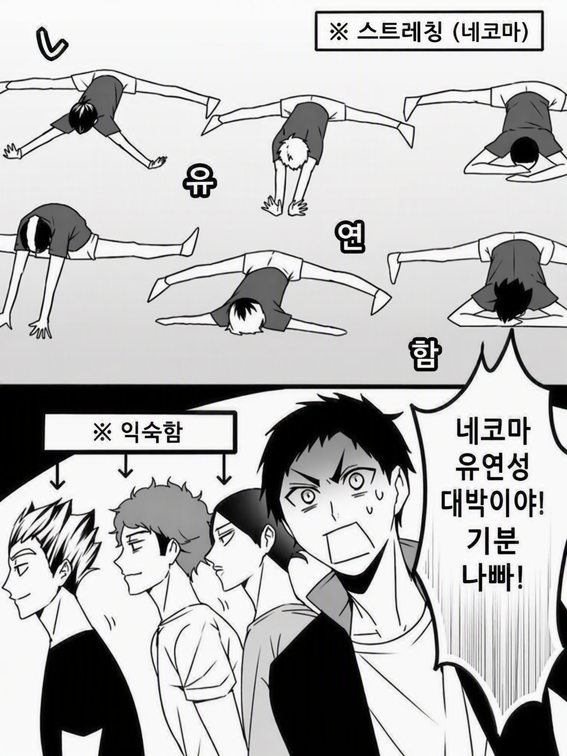 네코마의 스트레칭 대표 이미지