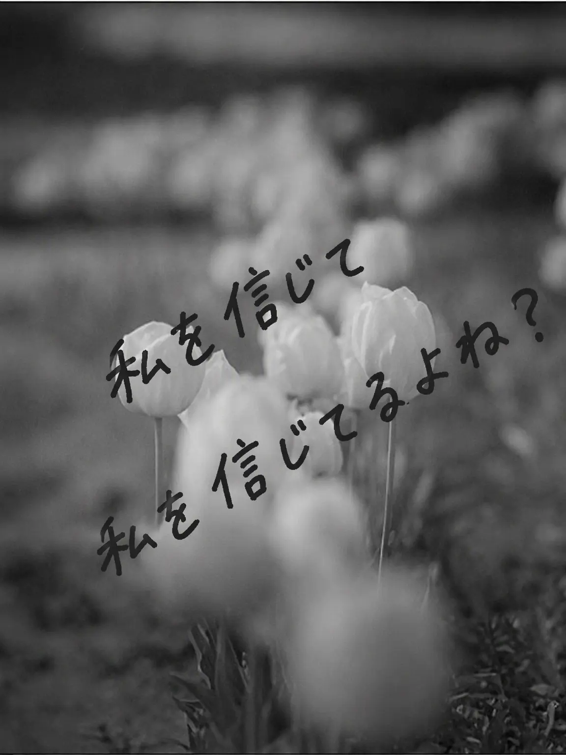 Fytgiyi3w5의 みんな、私を信じてくれるよね…？ねえ？
