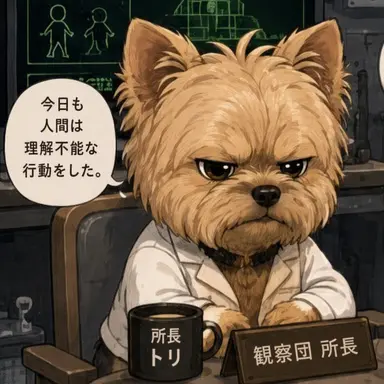 Profile image of シン・ットリ