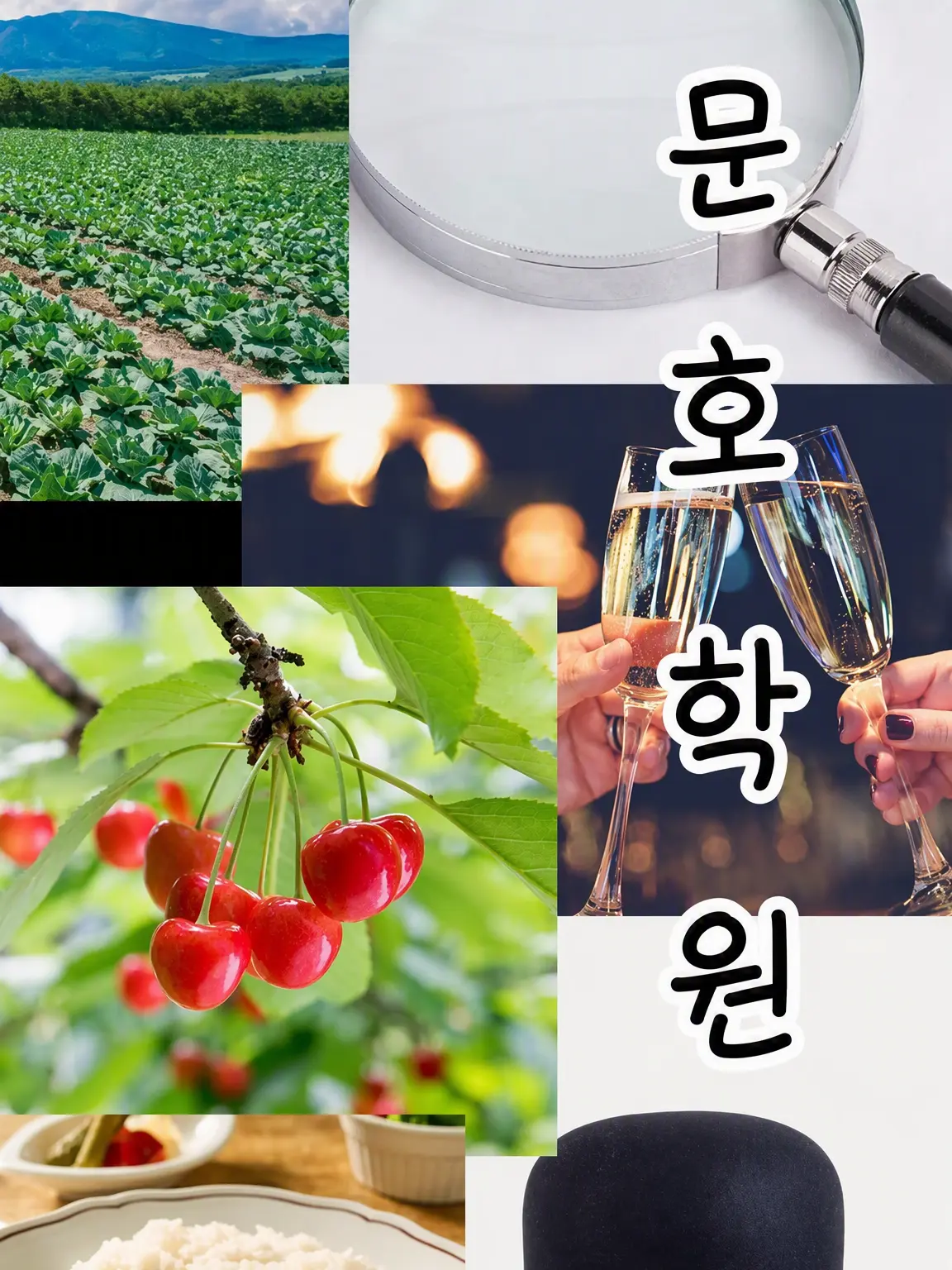 KOHANA4.29의 【문호 학원】오늘도 문학부는 북적북적!!